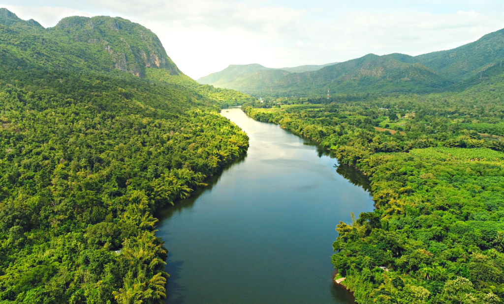 THE AMAZON Concord Asset Management